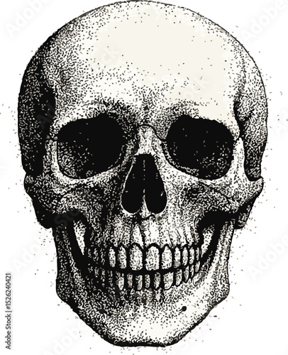 Skull artwork crafted in stipple style with a rough photocopy halftone finish and a raw grunge vibe. Ideal for dark, punk-inspired, and gothic collage creations. Delivered as a detailed vector graphic