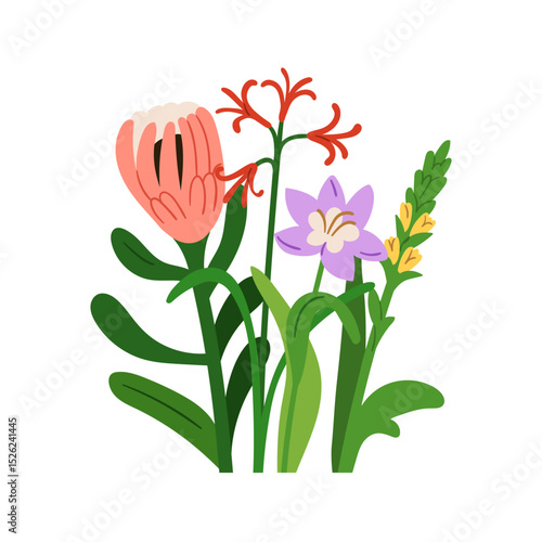 Flowers mix, floral bouquet with gorgeous protea and delicate wildflowers. Ge...