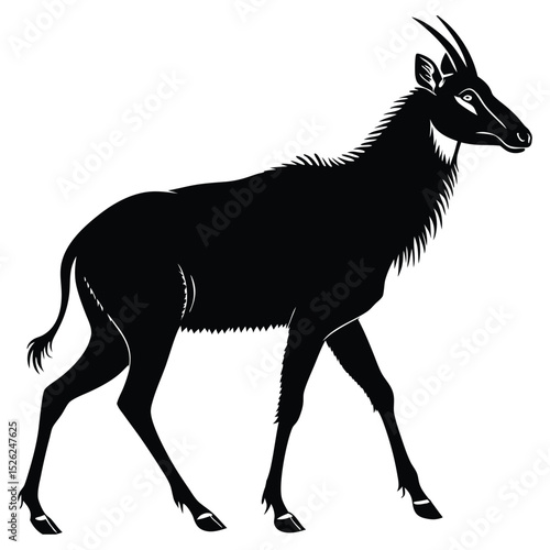 Black and white vector silhouette illustration of a wild roe deer
