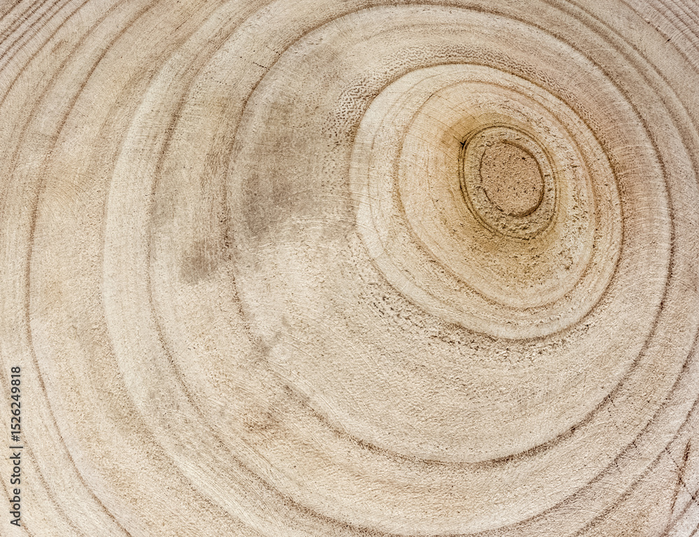 Fototapeta premium Cernes de bois