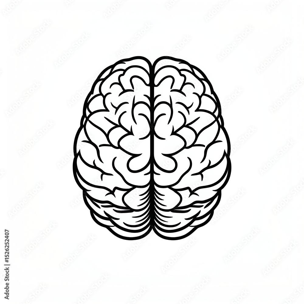 Fototapeta premium Hand Drawn human brain/ black and white Human brain illustration on white space