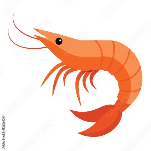 Fresh cooked shrimp seafood ocean delicacy