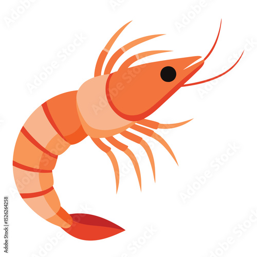 Freshly caught orange shrimp seafood illustration