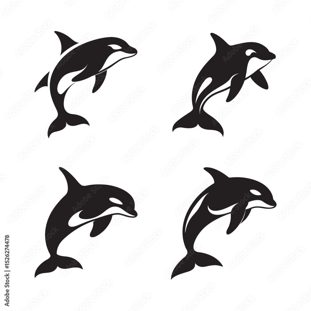 Fototapeta premium Orca Whale Jumping Out Of Water