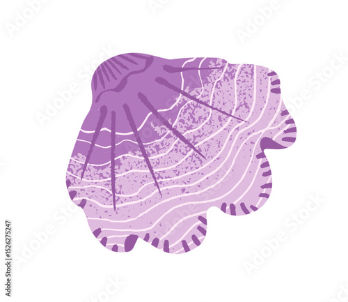 Cute cockleshell of undersea clams. Exotic sea shell of mollusk, scallop. Drawing seashell of tropical shellfish, cockle. Ocean decor, beach decoration. Flat isolated vector illustration on white