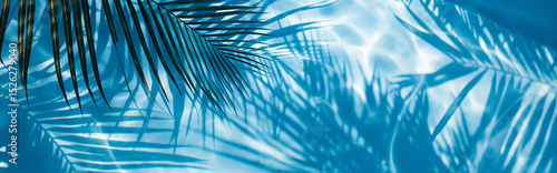 Ombre de feuilles tropicales sur la surface de l'eau