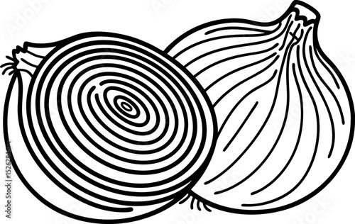 Whole and sliced onion illustration, detailed black line drawing of vegetable cross section for culinary or recipe design