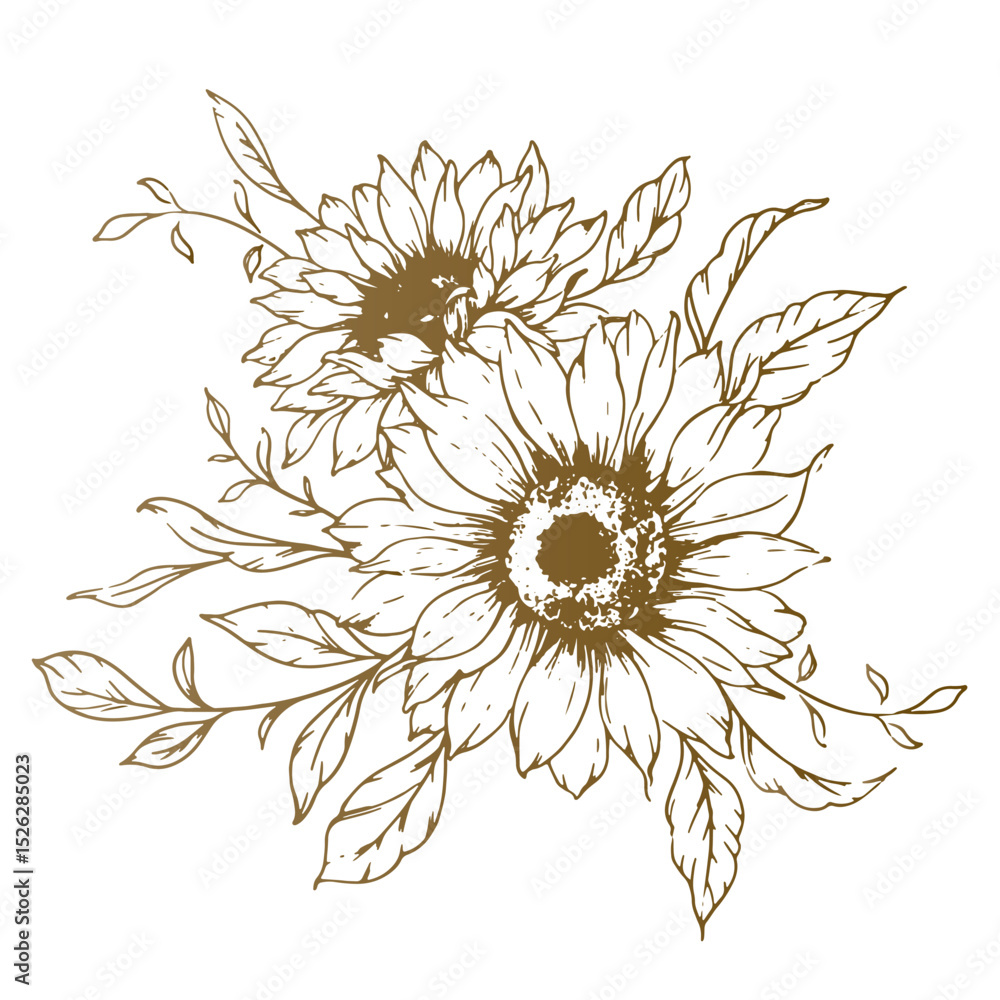 Fototapeta premium Sunflowers Line Drawing. Outline Sunflowers illustration. Hand Drawn Sunflowers Silhouette. Monochrome Floral Line Art. Ink Sunflowers Drawing for packaging, labels.