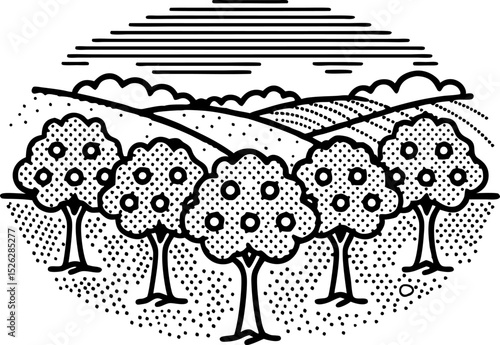 Linear orchard illustration with fruit trees monochrome rural landscape, geometric field, stylized agricultural scenery