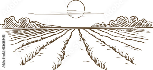 Sunrise over rural agricultural field with furrowed rows and distant mountain horizon, hand drawn sketch illustration