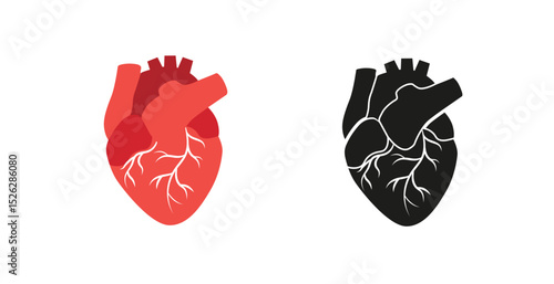 Contrast of two anatomical hearts in red and black highlights dual symbolic medical meanings.