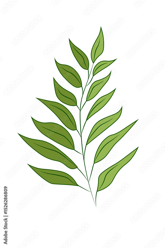 Fototapeta premium Simple plant illustration. Green plant. Leaves. Green leaves. Minimalist plant illustration