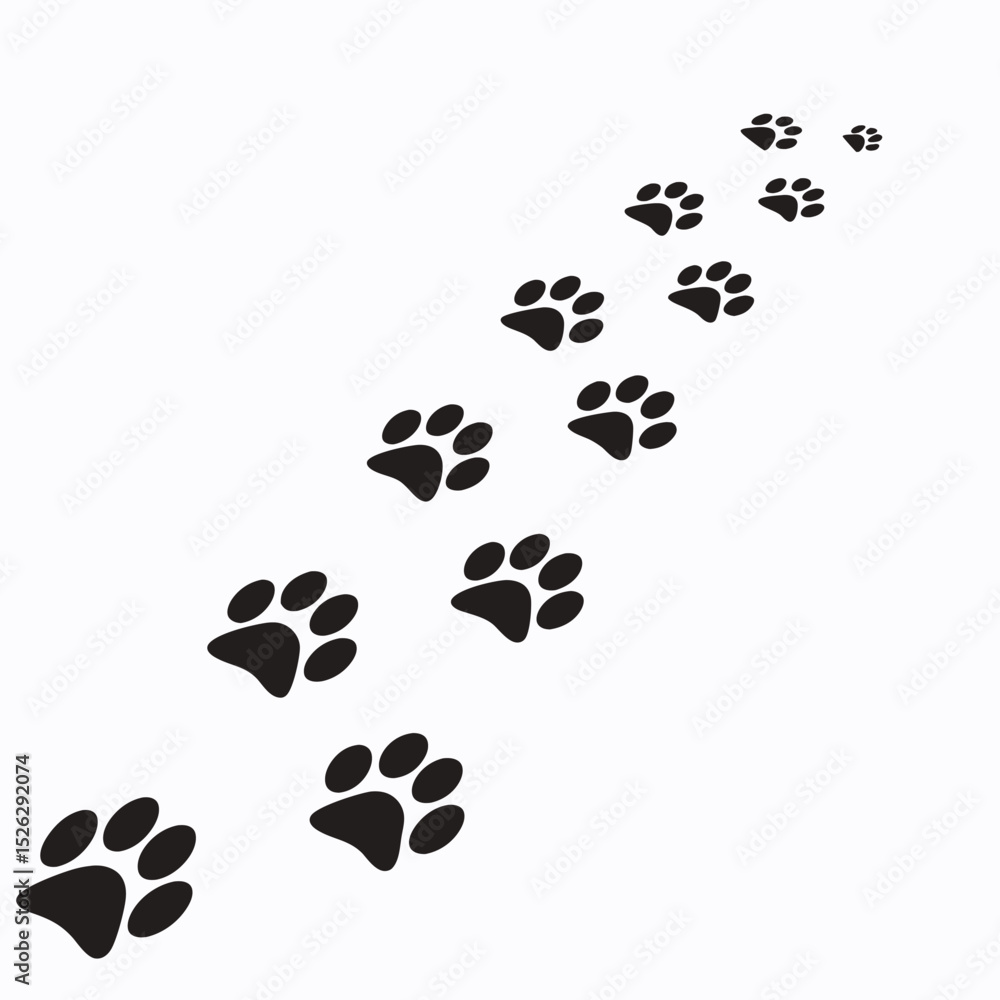 Fototapeta premium Dog Paw Prints Trail Leading Away Silhouette