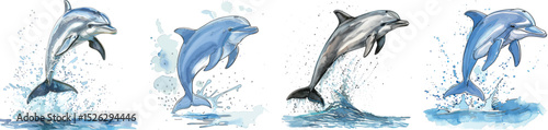Dolphin Vector Illustration: Set of Jumping Dolphins with Watercolor Effect on White Background.