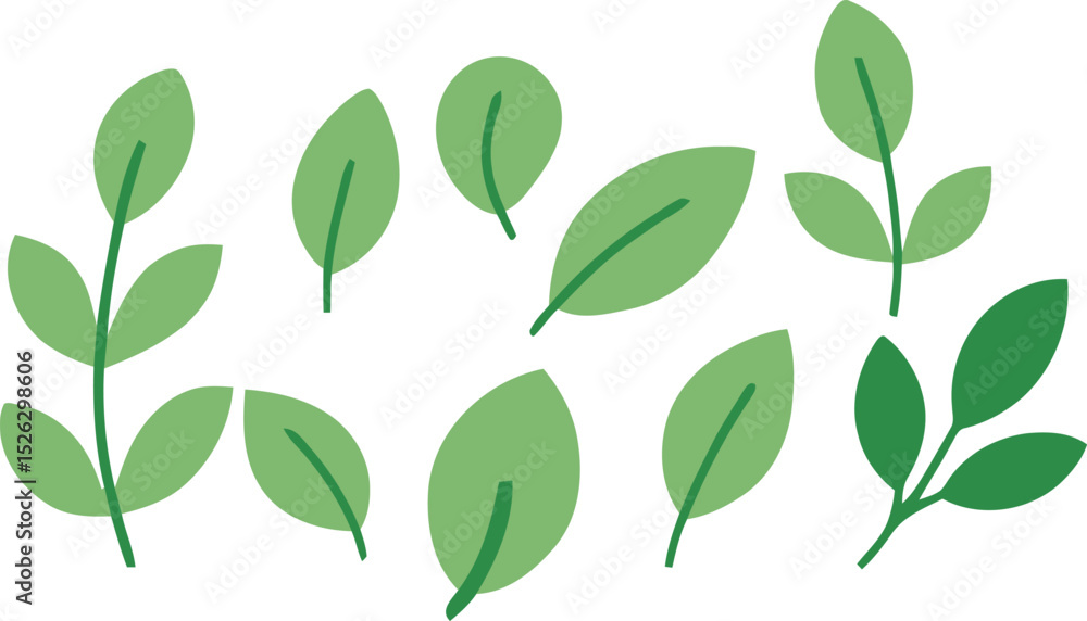 Naklejka premium Collection of green leaf vectors. Transparent background.