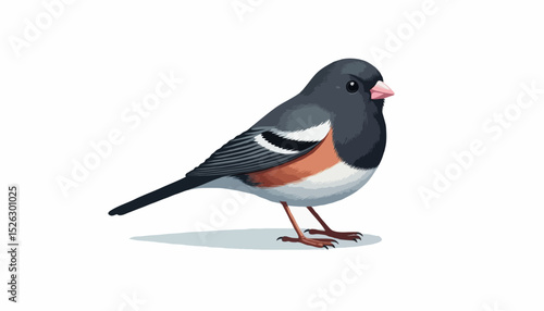 Black-winged blackbird silhouette vector illustration on a white background