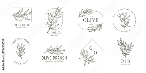 Minimal olive logo templates with olive branches in trendy linear style. Vector leaves and olive fruits
