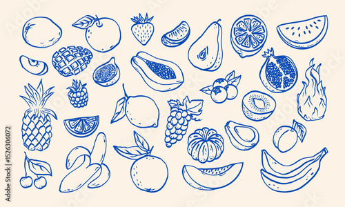 Hand drawn sketch fruits  and berries vector illustration. Natural tropical fruits. Dragon fruit, papaya, pineapple, watermelon, melon, coconut, citrus, grape, lemon, banana, pomegranate, fig, banana.