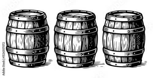 Three oak barrels for alcoholic beverages. Vector engraving style illustration