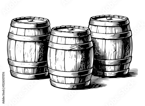 Three oak barrels for alcoholic beverages. Vector engraving style illustration