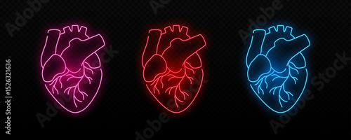 Anatomical hearts pulsate with vibrant neon energy in a radiant display of red, pink, and blue hues.