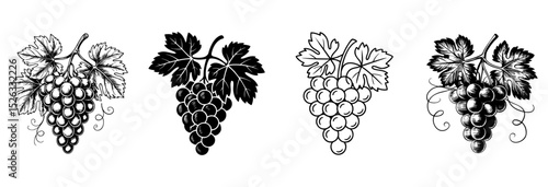 set of grape cluster bunches with leaves vector illustrations 
