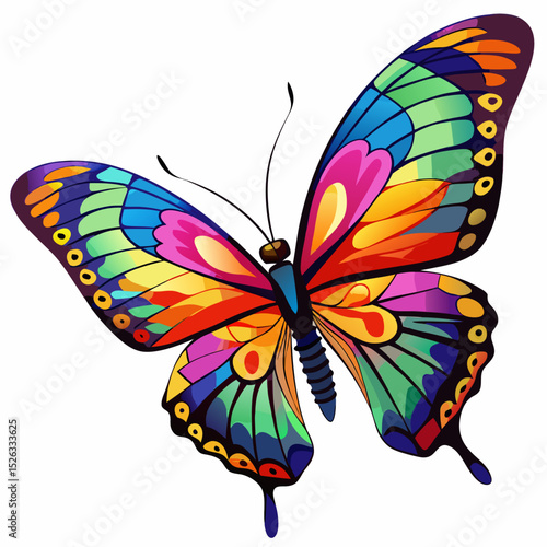 butterfly on white background