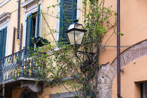 Window of an old house with closed green shutters. Old house with a shabby wall and bushes under the window