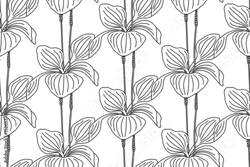 Line art botanical plantain bushes seamless pattern vector illustration. Black outline repeating plantain leaves and flowers plants in white background. Graphic design for Fashion Cover Textile Card