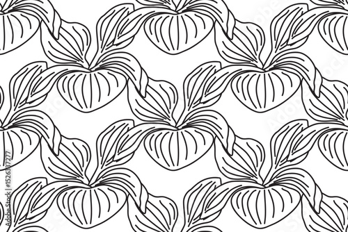 Line art botanical plantain bushes seamless pattern vector illustration. Black outline repeating plantain leaves plants in white background. Graphic design for Fashion Cover Textile Wedding Print Book