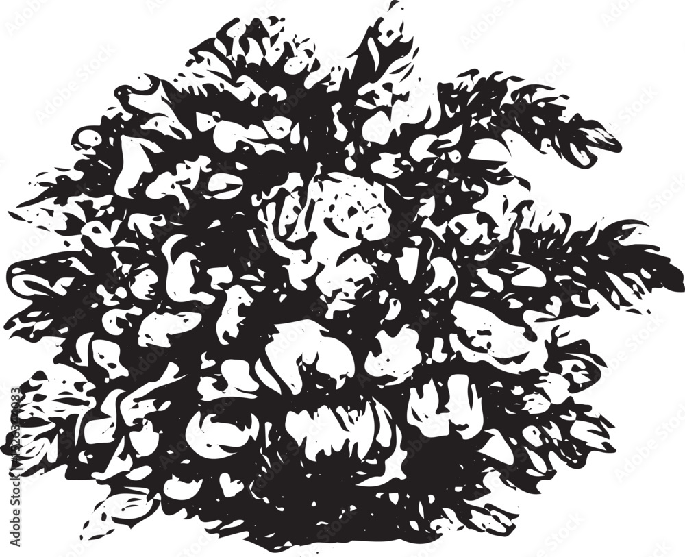Obraz premium A striking black and white illustration of a dense, leafy bush with intricate textures, perfect for nature-themed designs, posters, or digital art. This detailed, abstract foliage pattern adds a bold