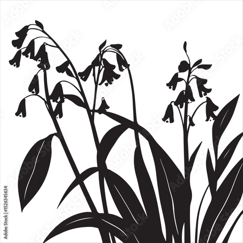 Elegant composition featuring expressive black and white vector silhouettes of Virginia bluebells on a white background. 