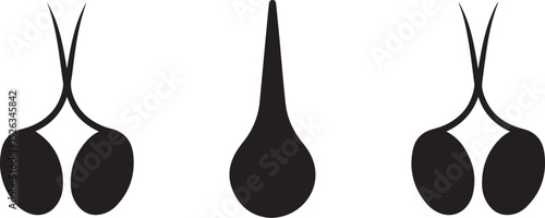 Three Different Styles of Wavy Black Hair Silhouettes