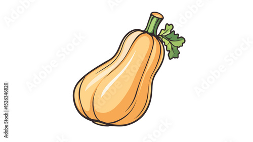 Butternut Squash Vector Illustration Isolated on White Background