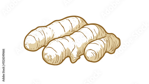 Ginger Icon Outline Vector for Professional Designs