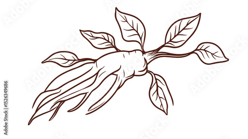 Ginseng Icon Outline Vector Isolated Illustration
