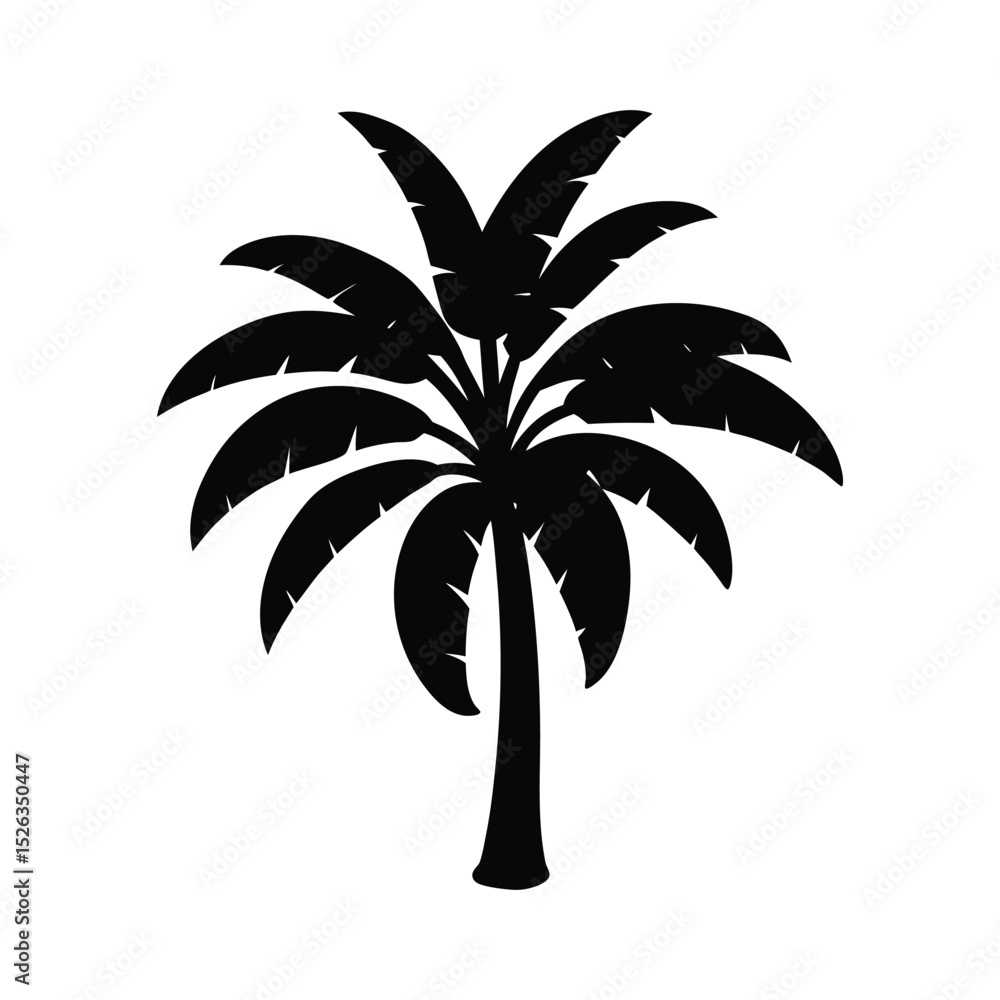 Obraz premium palm tree isolated on white