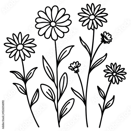 Hand drawn black and white illustration of wildflowers featuring detailed daisy sketches for artistic designs
