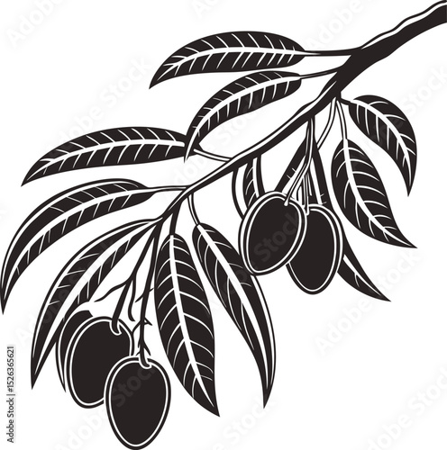 Olive Vector Illustration

A fresh vector illustration of a black olive branch with ripe fruit, healthy green leaves, and an olive tree, perfect for Mediterranean food and oil designs