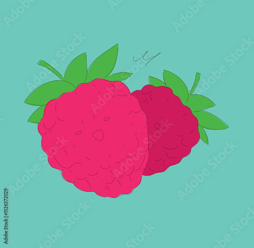Adorable and Cute Cartoon Style Raspberries with Fresh Green Leaves on a Bright Turquoise Background