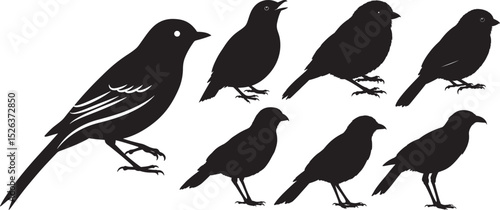 Flying bird wings spread silhouette vector illustration