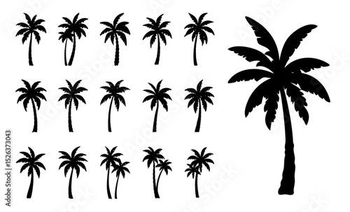 set of black silhouettes of a palm tree, silhouette of a palm tree isolated.