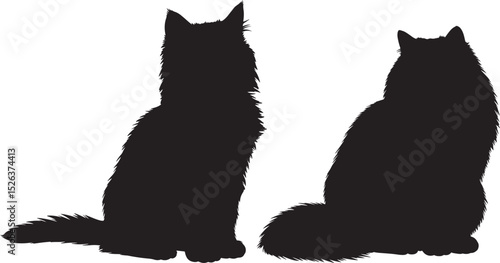 Sitting cat looking back silhouette vector illustration