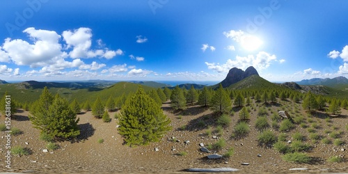 Near mountain in pinery in sunny day - Equirectangular 360 degree landscape