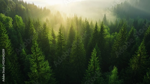 Ecological forestry development with integrated fire risk assessment system