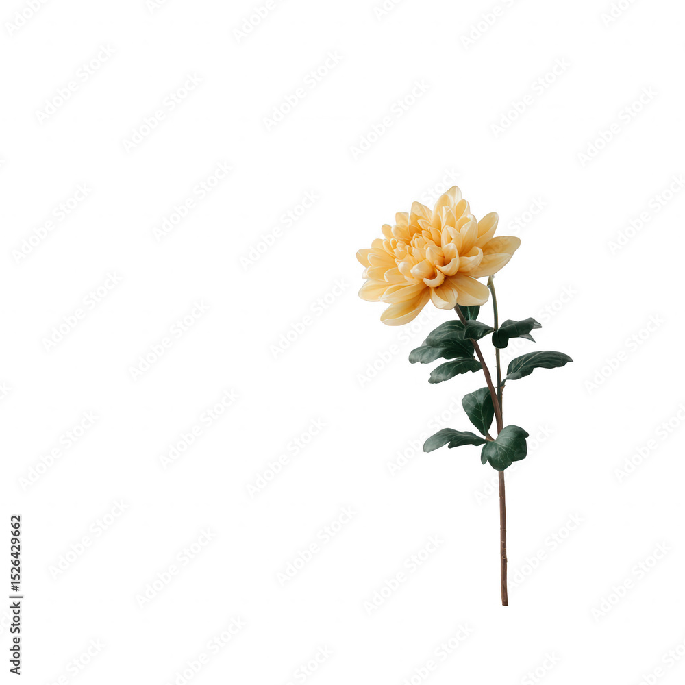 Fototapeta premium A delicate yellow flower with lush green leaves, isolated on a white background. Perfect for designs and botanical themes.