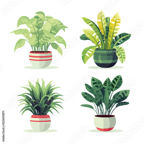 Set of Four Houseplants Decorative Icons Vector Illustration for Interior Designers and Home Decorations