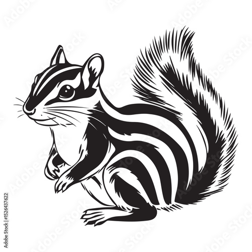 Siberian chipmunk is standing on the ground