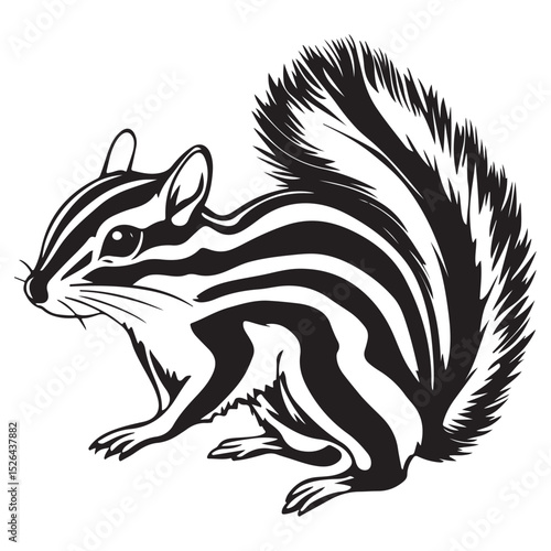 Siberian chipmunk is standing on the ground