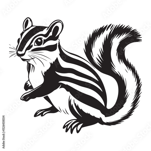 Siberian chipmunk is standing on the ground
